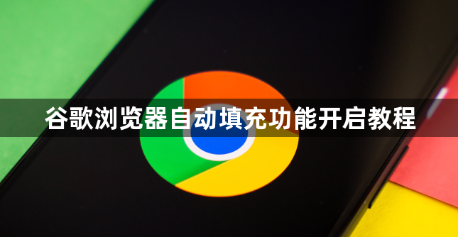 谷歌浏览器自动填充功能开启教程1