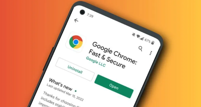 Chrome浏览器官方下载及系统兼容性分析