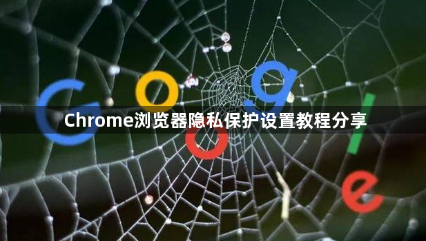 Chrome浏览器隐私保护设置教程分享1