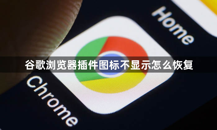 谷歌浏览器插件图标不显示怎么恢复1