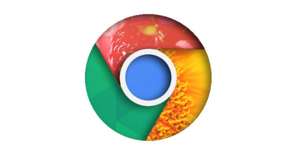 Chrome浏览器下载完成后浏览器安全设置和隐私保护教程
