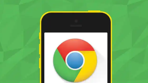 google Chrome浏览器下载安装包下载速度慢的优化技巧