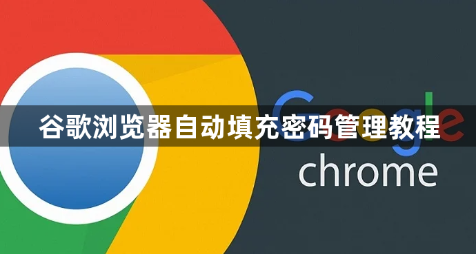 谷歌浏览器自动填充密码管理教程1