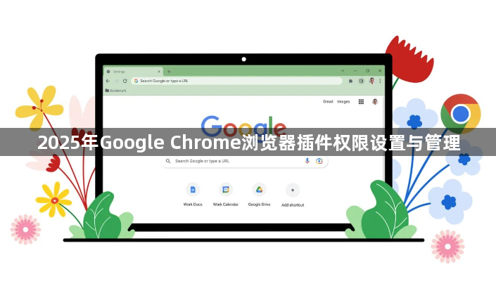 2025年Google Chrome浏览器插件权限设置与管理1