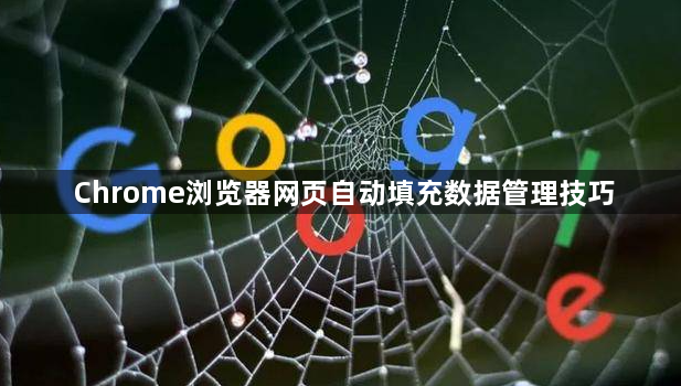 Chrome浏览器网页自动填充数据管理技巧1